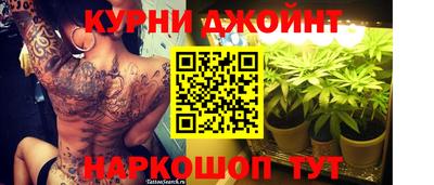 сатива Кимры